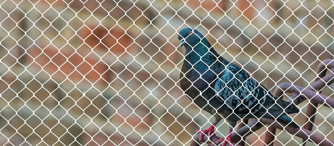 imgi_1_6867c6c866769e487a51a3c5